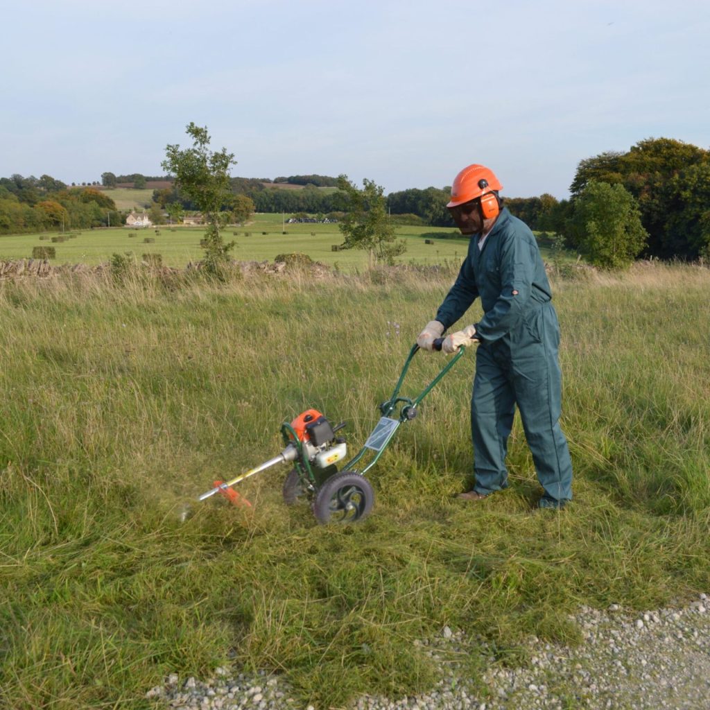 Two people operating a metal detector in field