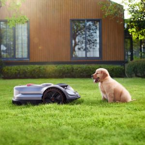 Robot lawn mower next to golden retriever dog
