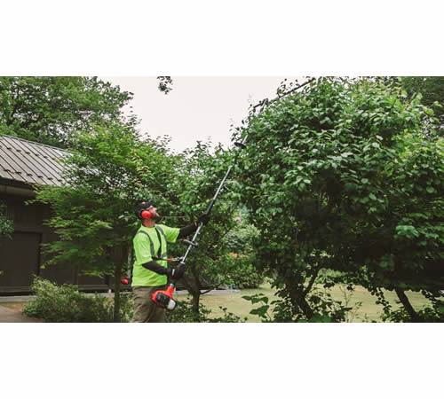 0xra2fcem0d.jpg - Mowers Online Worker using pole saw to trim tree branches.