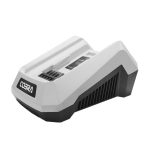 1tpwn4xhzec.jpg - Mowers Online MOSA dual-port fast battery charger