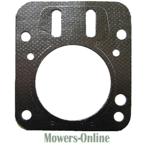 Engine mounting gasket with bolt holes