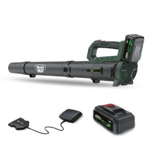 Cordless leaf blower with battery and charger kit