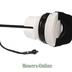 Lawn mower engine recoil starter assembly