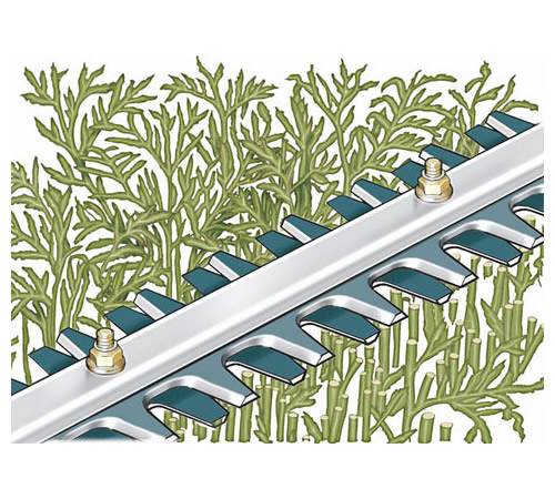 4e1ts15ipbg.jpg - Mowers Online Drip irrigation system with plants and water line