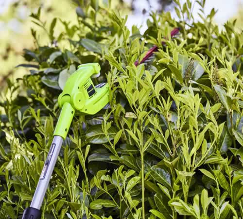 55oxmbf5rju.jpg - Mowers Online Electric hedge trimmer in garden shrubs
