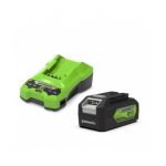 Greenworks battery and dual-port charger combo