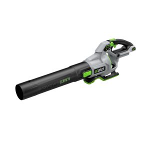 Cordless leaf blower with variable speed control