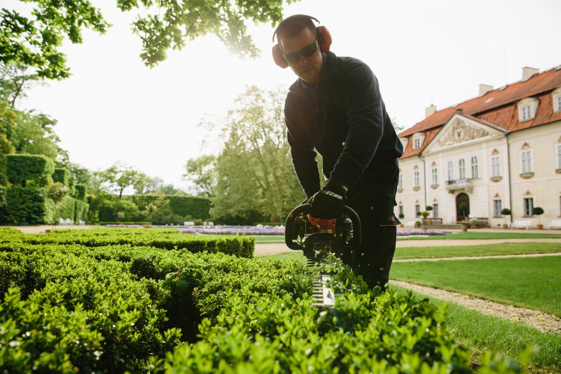 ayz0g1fa5w2.jpg - Mowers Online Man trimming hedge with electric hedge trimmer
