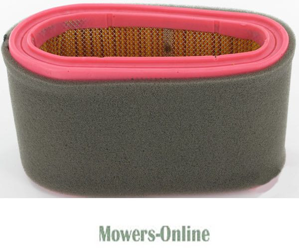 bg1m0xx01eq.jpg - Mowers Online Air filter cartridge for lawn mower