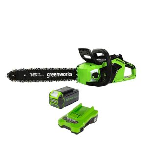 Greenworks chainsaw with battery and charger