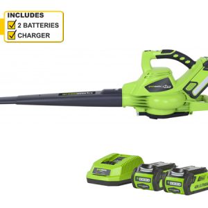 Cordless leaf blower with batteries and charger