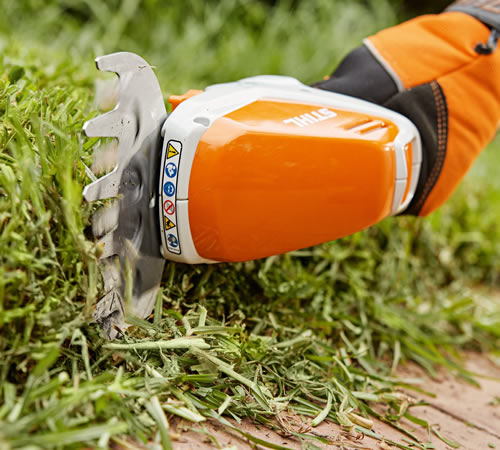 eb4ccwtc5x0.jpg - Mowers Online Cordless hedge trimmer cutting grass edge