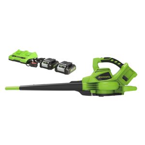Cordless leaf blower with battery and charger kit