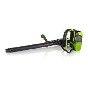 Cordless leaf blower with battery pack and charger
