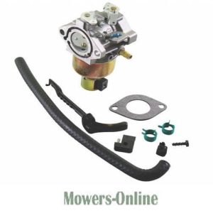 Carburetor kit with gasket and fuel line assembly