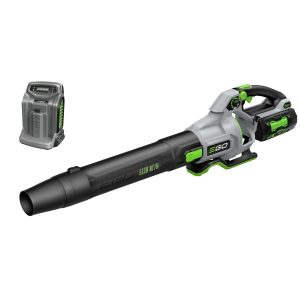 Cordless leaf blower with battery and charger