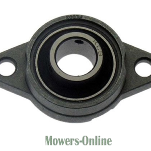 Flange mount pillow block bearing with two bolt holes