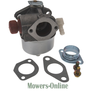 Carburetor kit with gaskets and spring