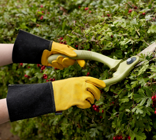 ixynrnegmhd.jpg - Mowers Online Gardener pruning hedge with yellow work gloves