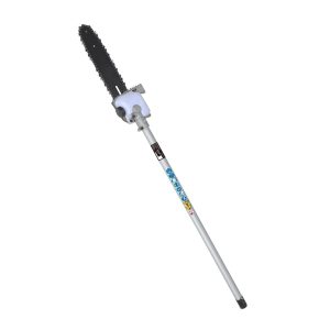 Pole chainsaw with adjustable cutting head