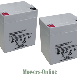 Two rechargeable sealed lead acid batteries