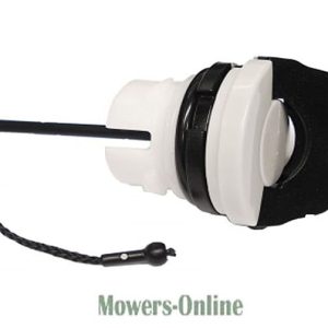 Lawn mower air filter assembly with cover