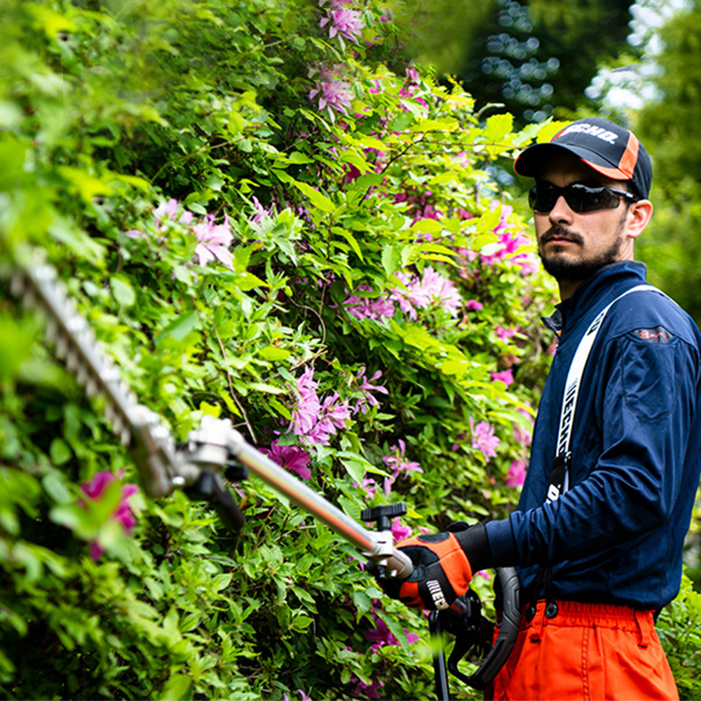 kgvl5pobpsr.png - Mowers Online Man trimming flowering hedge with power tool