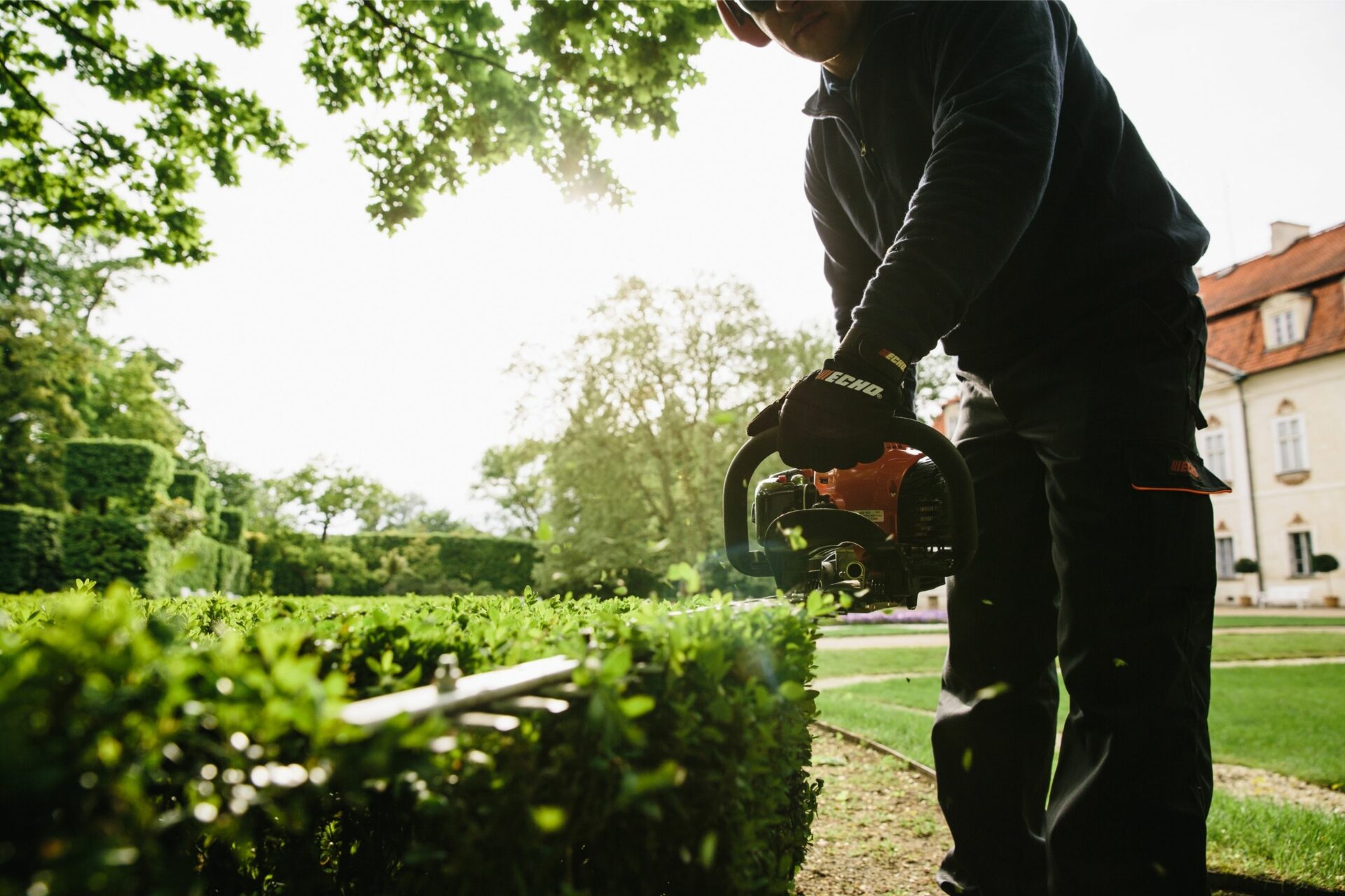 kqa41hoou2s.jpg - Mowers Online Person trimming hedge with hedge trimmer