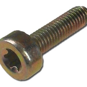 Socket head cap screw with torx drive