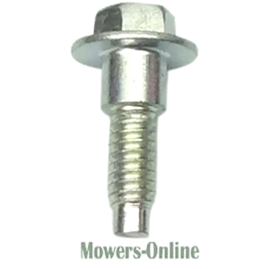 Flange head bolt with washer and threads