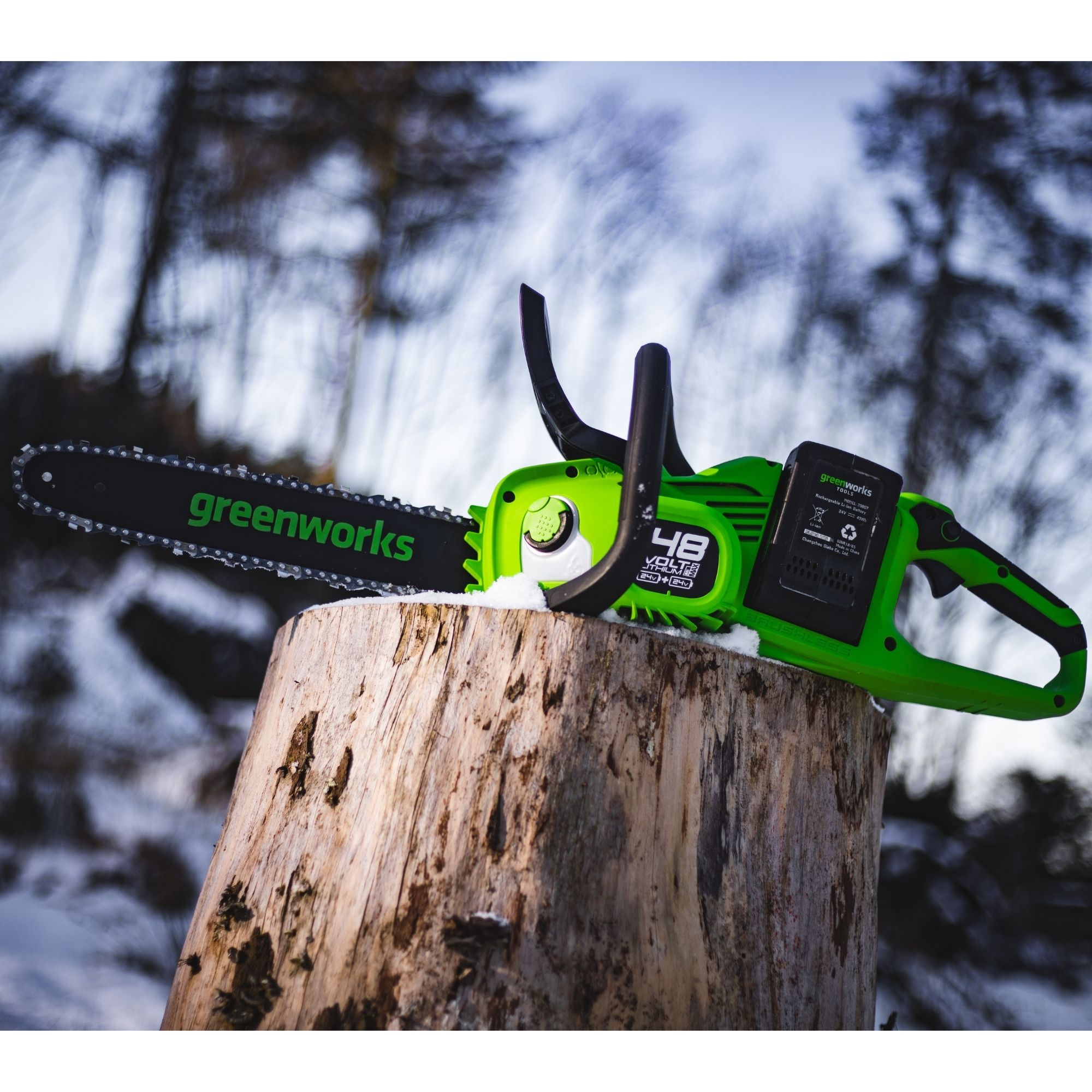 oqxfwqagfue.jpg - Mowers Online Greenworks chainsaw on tree stump