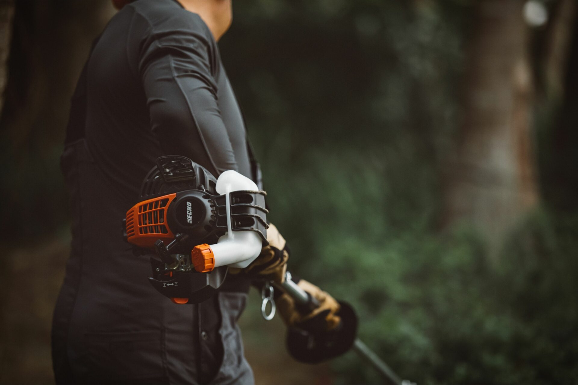 rb54syycpq2.jpg - Mowers Online Climber wearing harness with carabiners and rope