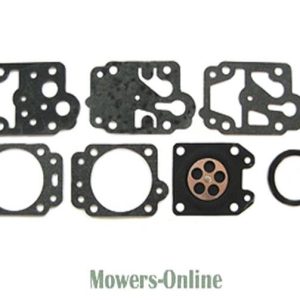 Carburetor repair gasket and diaphragm kit