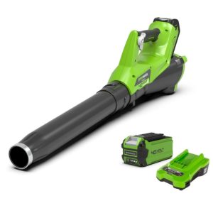 Cordless leaf blower with battery and charger