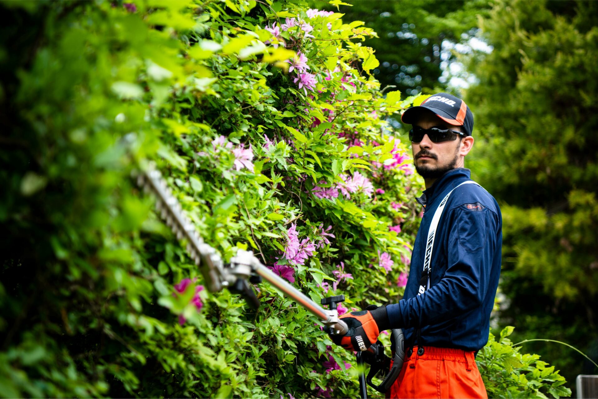 tjcxywafc3t.jpg - Mowers Online Man trimming hedge with power tool