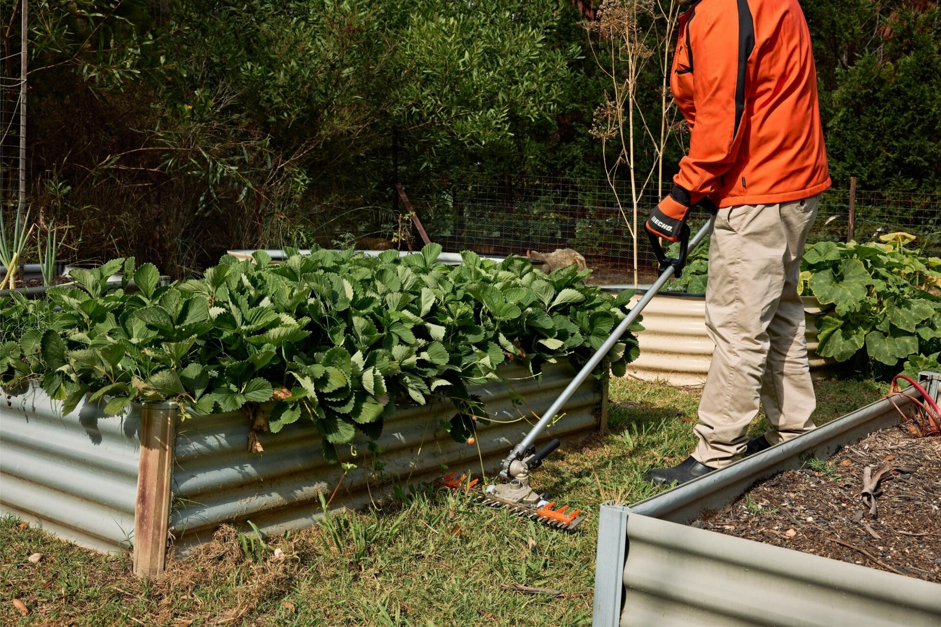 toap1ctsqaw.jpg - Mowers Online Person using hoe in vegetable garden bed