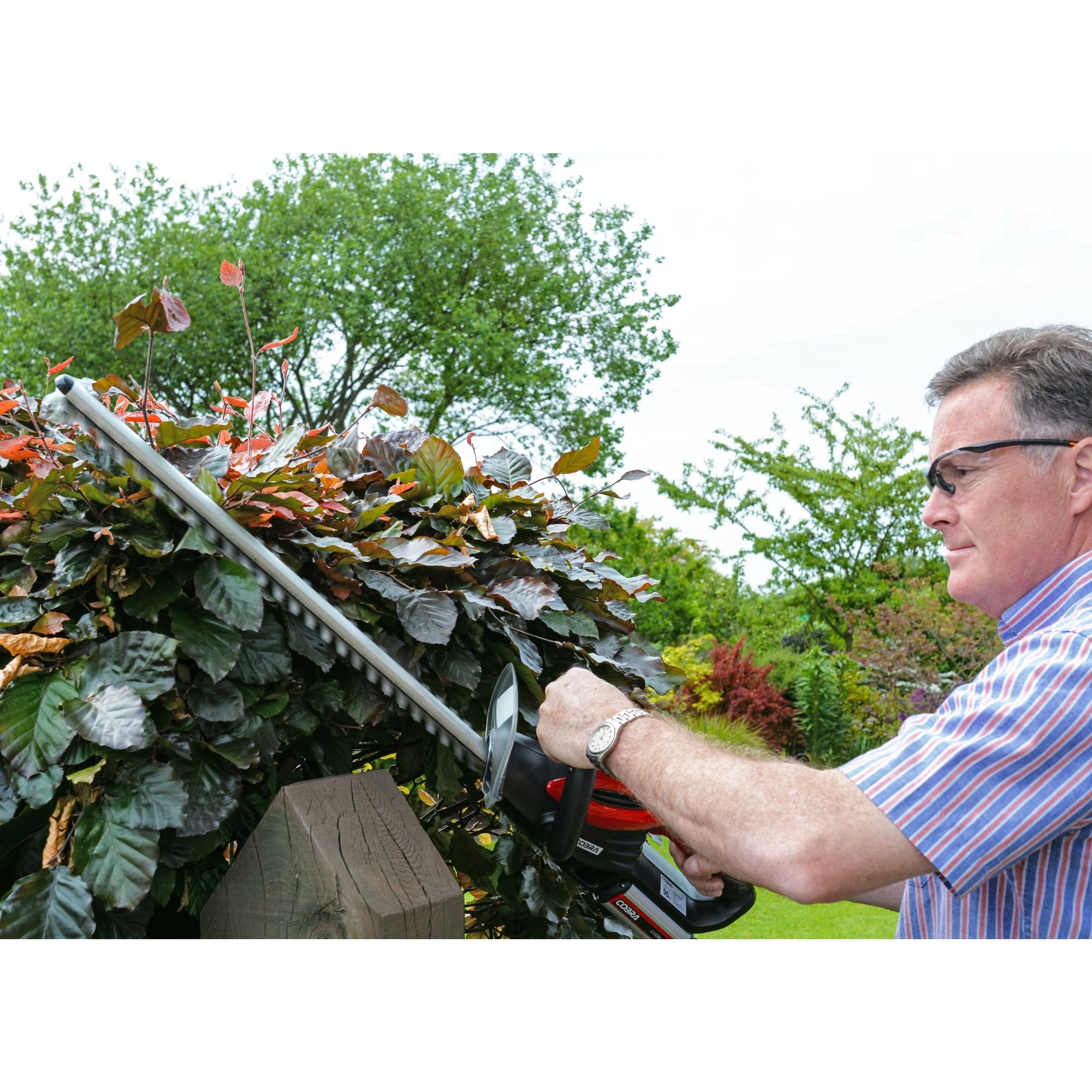 vwwmydrhvhl.jpg - Mowers Online Man trimming hedge with electric hedge trimmer