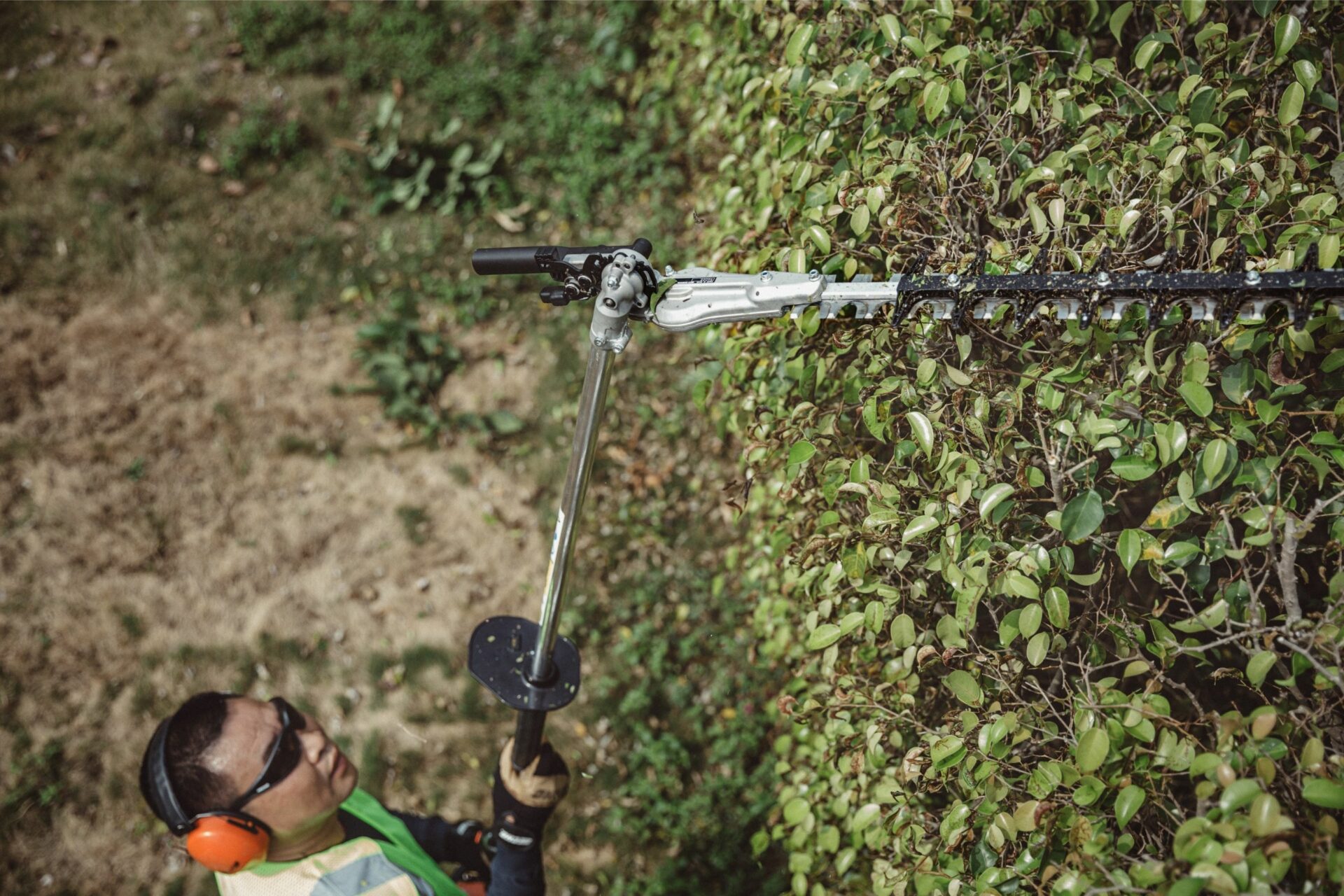 z0sannkum5w.jpg - Mowers Online Person holding hedge trimmer against ivy-covered wall.