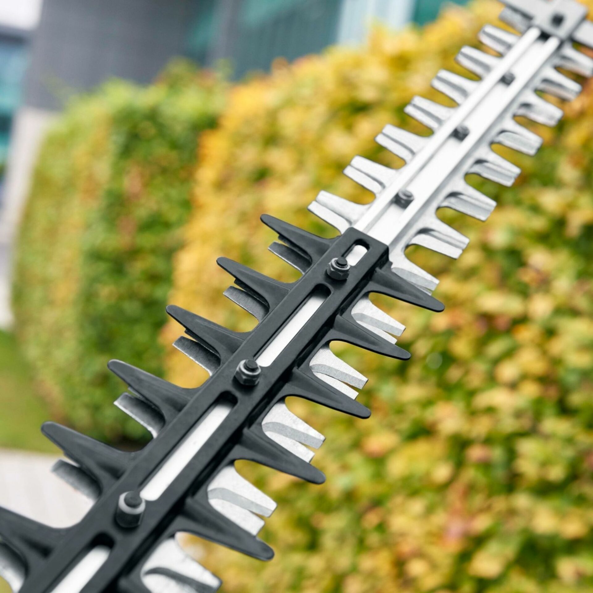 zlchzgu35u0.jpg - Mowers Online Hedge trimmer blade close-up detail